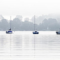 Sailboats